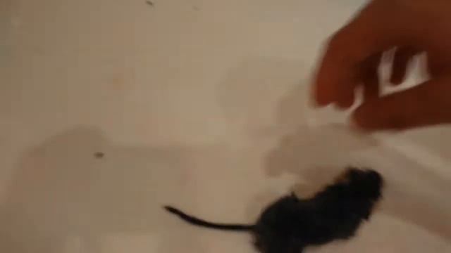 Грязнуля смотреть онлайн