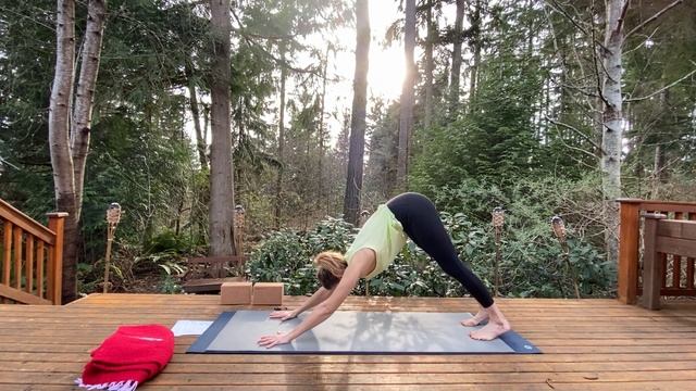 Morning Yoga Practice (about 50 min); all-levels (options given) смотреть онлайн