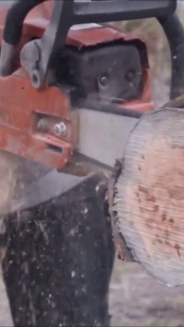 #portedchainsaw '#husqvarna 55 20
