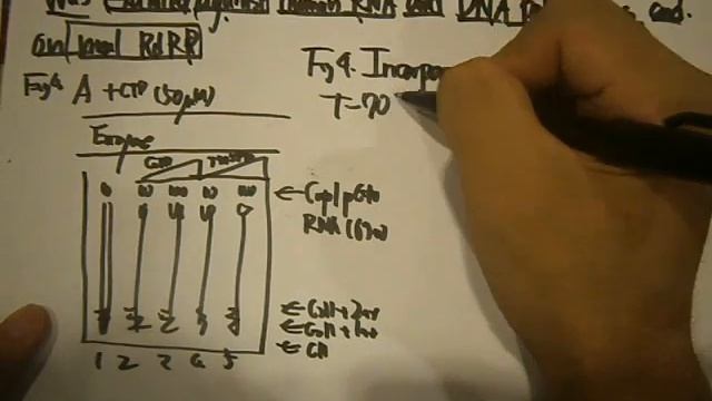 P8120035 Favipiravir (T-705), a novel viral RNA polymerase inhibitor 6 7 Yousuke Furuta смотреть онлайн