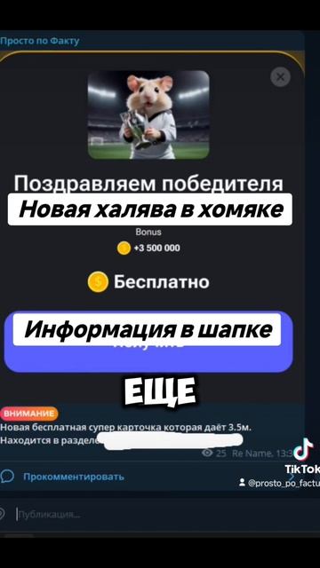 Халявная карточка в хомяке #hamsterkombat #хомяк #мем смотреть онлайн