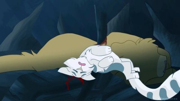 Cat Tales | Warriors MAP COMPLETE