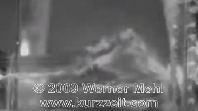 Тест про пули.СМОТРИ не залипни. смотреть онлайн