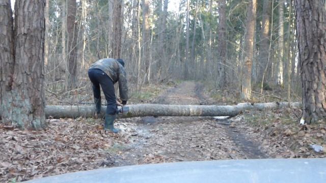 по дрова ч.1
