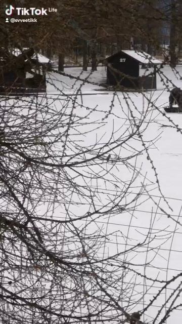 E346a18b-194e-4f3e-857c-fc2cde284015-watermark