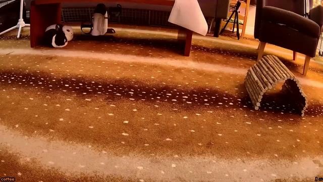 Было приятно смотреть онлайн