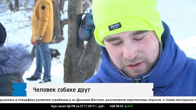 Человек собаке друг смотреть онлайн