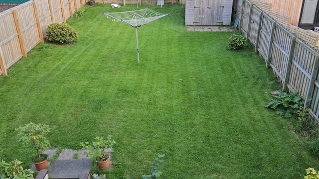 Luba 3000 AWD Robotic Lawnmower Timelapse Fail |  Bill Buys