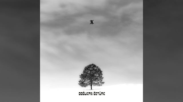 Fantasia in D Minor, K.397 смотреть онлайн