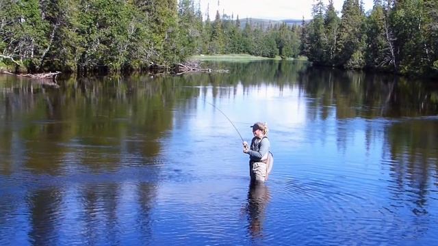 Siman Fly Rods смотреть онлайн