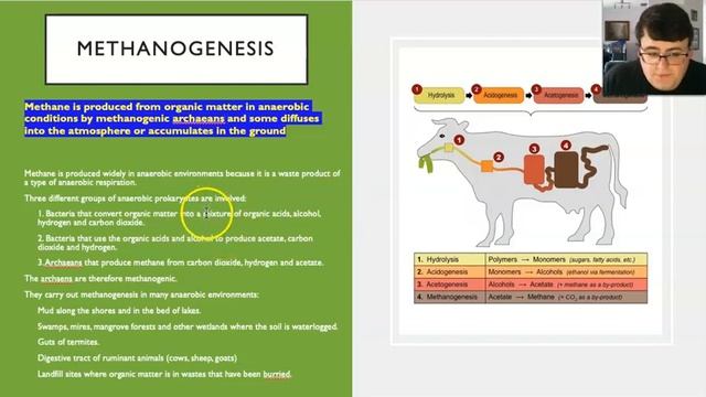 Carbon Cycling смотреть онлайн