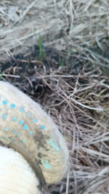 поиск монет