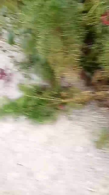 25 августа 2022 г. смотреть онлайн