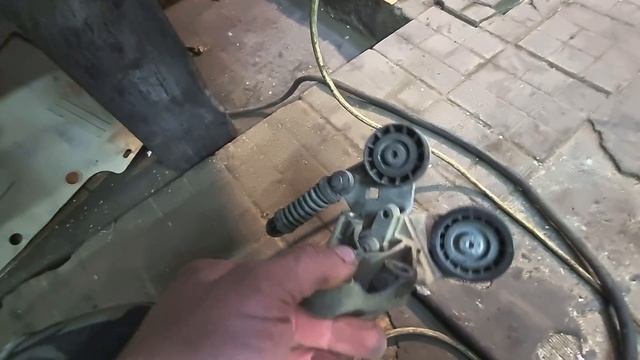 Дикая природа в движении