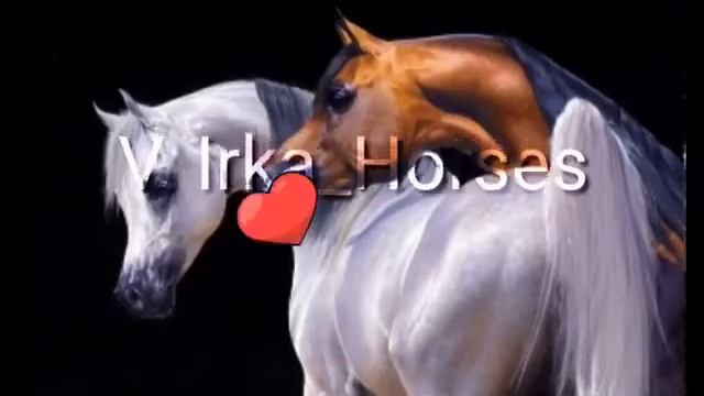 Новое интро и концовка