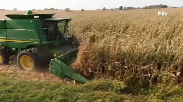 Farmers attending 'Gathering of the Green' express concern for global market amid Ukraine crisis смотреть онлайн