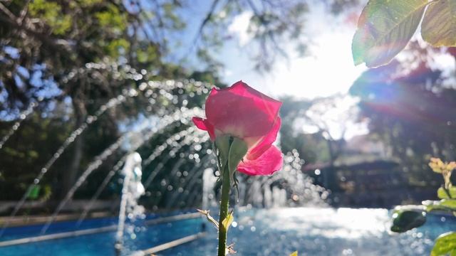 Слава Музыка