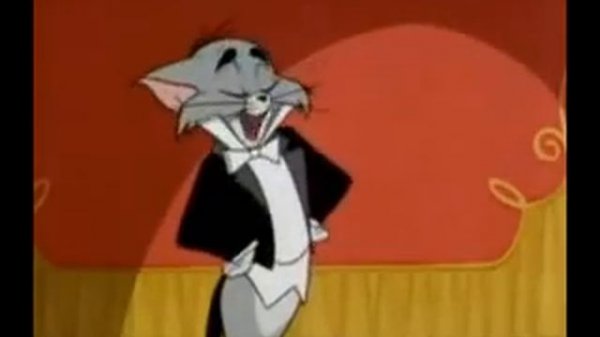 Tom & Jerry- Figaro