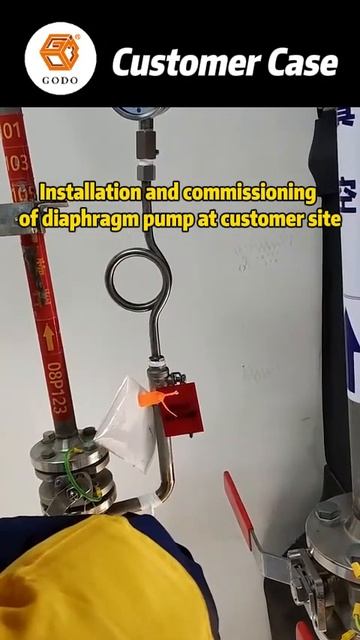 GODO PUMPS guide Installation and commissioning #pumps #transfer #godo#diaphragmpumps смотреть онлайн