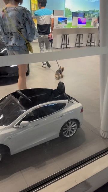 Маленькая #Tesla в магазине #Тесла смотреть онлайн