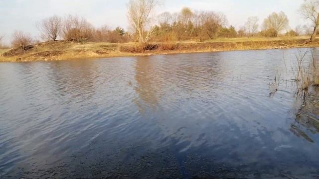 Рыба бастует. смотреть онлайн