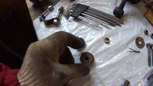 Проект БЕЛОЛОБЫЙ #5