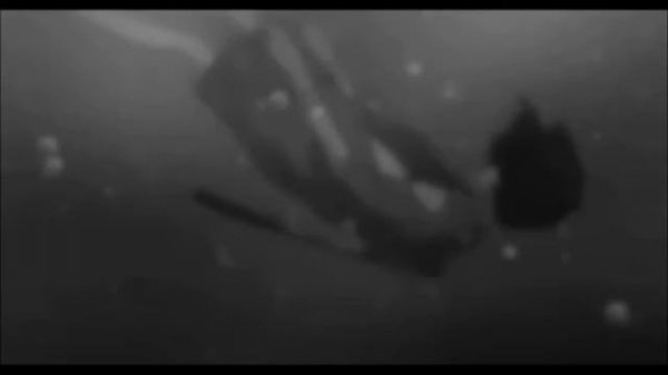 lil bo weep/ unaloon - sorry (slowed + reverb)