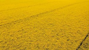 После похорон мамы, я разбирала ее вещи и нашла письмо. Прочитав его, я думала что не смогу простит