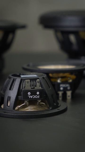 Focal FLAX EVO PS 165 F3E