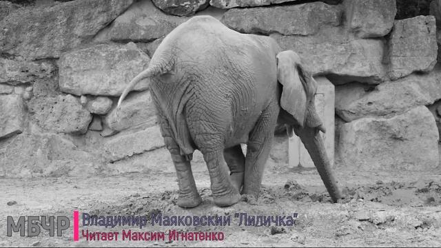 Лиличка смотреть онлайн