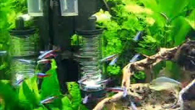 Aqua-Medic Reactor M para CO2 acuarios plantados смотреть онлайн