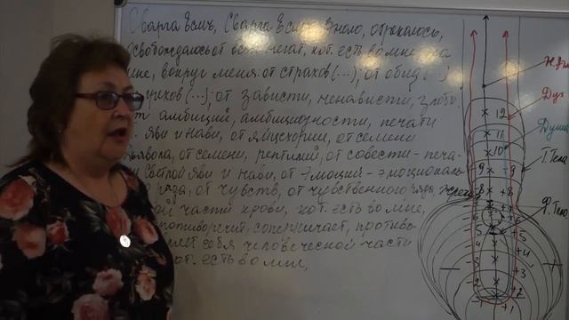 26.08.2018. Токарева Н.П. Яйцехории. смотреть онлайн