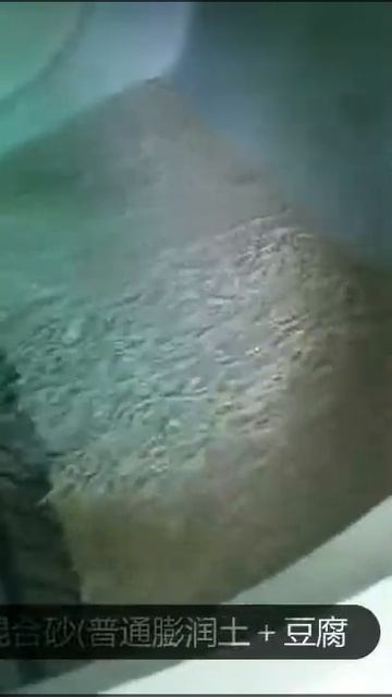 Self-cleaning cat litter box using normal bentonite and tofu cat litter смотреть онлайн