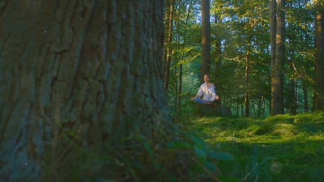 Harmonic Healing #369hz #Rootchakrahealing #chakrabalance #guidedchakrameditation #zenmusic #peac смотреть онлайн