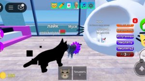 Игра с котятами