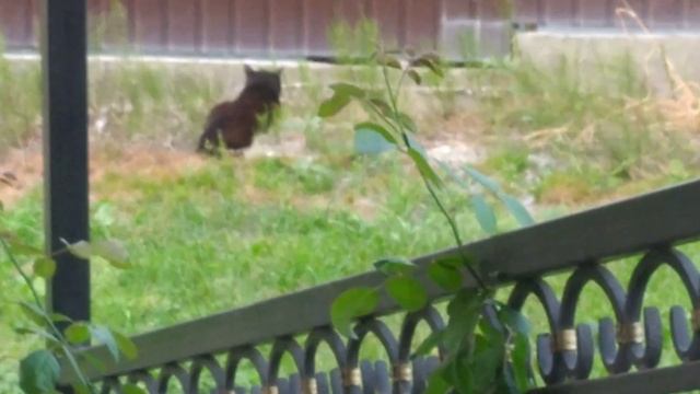 Открыл агентство по охране. смотреть онлайн