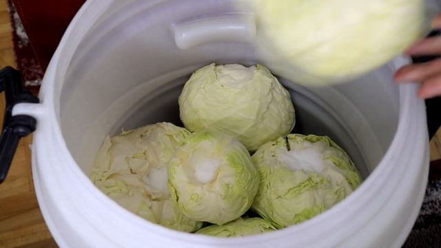 KISELJENJE KUPUSA NA PRIRODAN NAČIN - RECEPT ZA KISELI KUPUS смотреть онлайн
