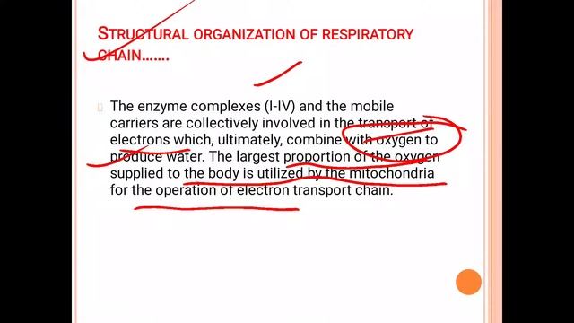 Electron Transport Chain (ETC) смотреть онлайн