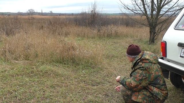 Асе 2.5 месяца...... первый раз на охоте. смотреть онлайн