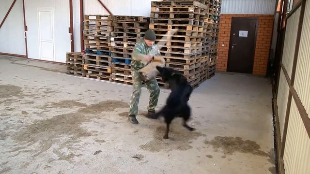 НКД Постановка на охрану смотреть онлайн