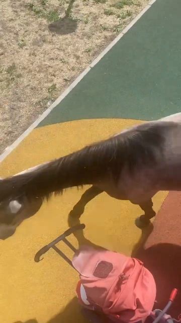 01.06.2023‼️‼️‼️ЛОШАДИ НА ПЛОЩАДКЕ ДЕТСКОЙ (Полина боится) смотреть онлайн