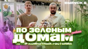 Обзор растений #позеленымдомам ! Выпуск 5