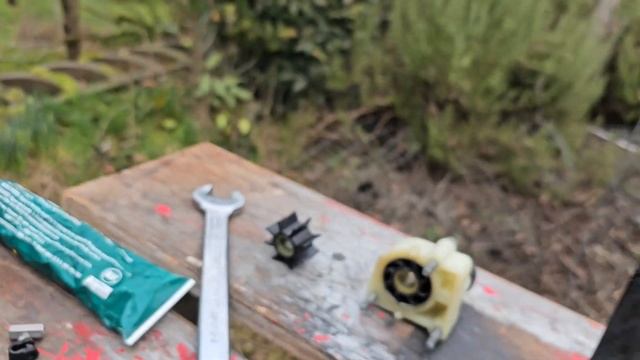 Mercury 9.9 Outboard motor impeller change смотреть онлайн