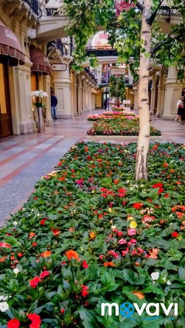 Москва. Кремль.Гум.Выставка цветов. смотреть онлайн