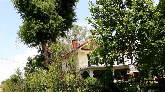 Straggling Magicicada cassini or tredecassini, May 28 2014, Hwy 141 and Big Spring Road. TN смотреть онлайн