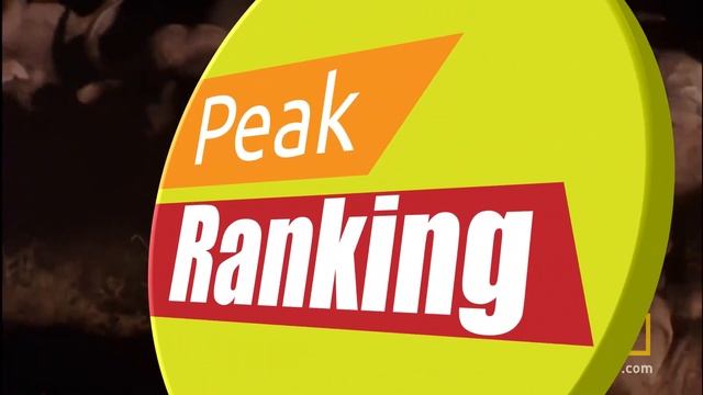 TOP 10 Most Deadliest Animals | English | Peak Ranking смотреть онлайн