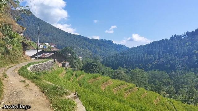 A walk in the village with beautiful views||quiet and peaceful atmosphere смотреть онлайн
