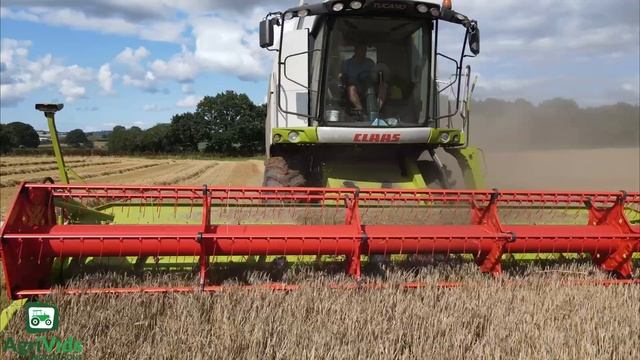 Claas Tucano 560 Montana Harvesting Barley 2023 смотреть онлайн
