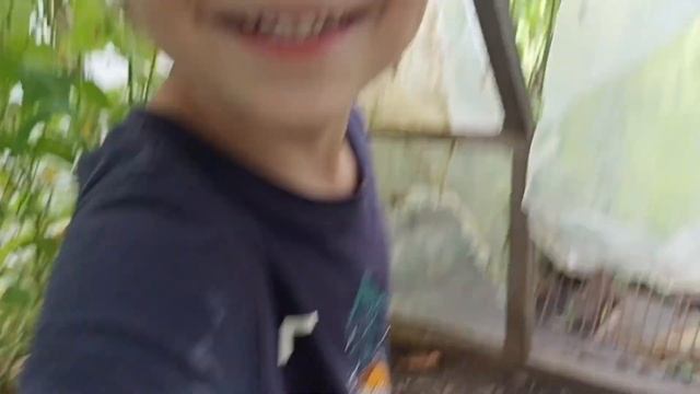 короче говоря 24часа в теплице