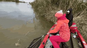 ОТРЫВ НА РЫБАЛКЕ!  САЗАН ПРЁТ, ДЕВЧОНКИ В ВОСТОРГЕ!